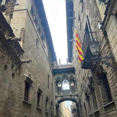 Barcellona 2025 (4D SU e 4A LES)